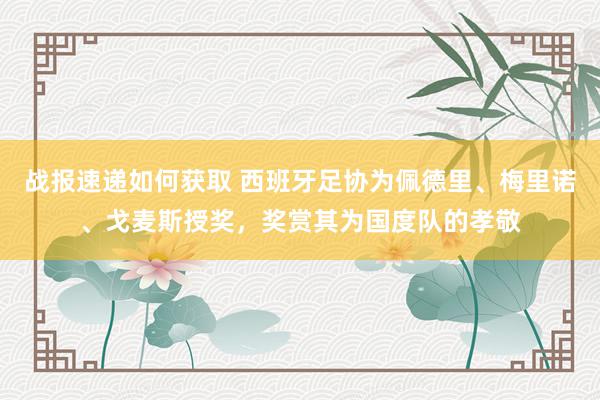 战报速递如何获取 西班牙足协为佩德里、梅里诺、戈麦斯授奖，奖赏其为国度队的孝敬