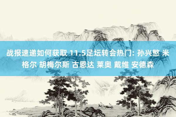 战报速递如何获取 11.5足坛转会热门: 孙兴慜 米格尔 胡梅尔斯 古恩达 莱奥 戴维 安德森