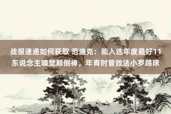 战报速递如何获取 范迪克：能入选年度最好11东说念主嗅觉颠倒棒，年青时曾效法小罗踢球