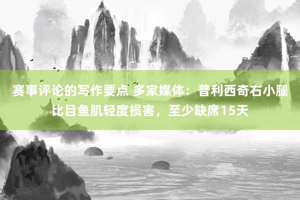 赛事评论的写作要点 多家媒体：普利西奇右小腿比目鱼肌轻度损害，至少缺席15天