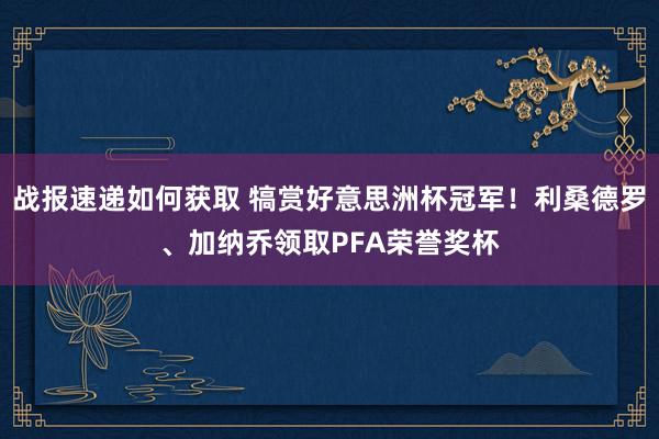 战报速递如何获取 犒赏好意思洲杯冠军！利桑德罗、加纳乔领取PFA荣誉奖杯